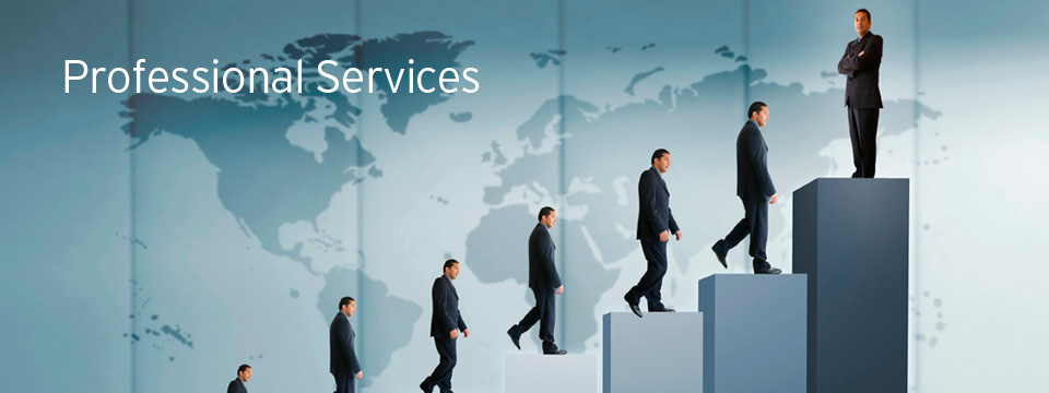 Professional Services | Foresight consultancy